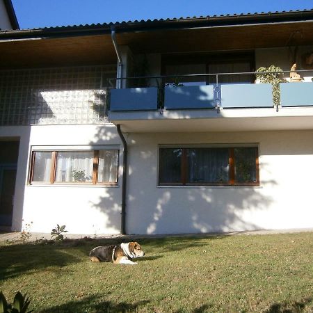 Ferienwohnung Roessler ماركدورف المظهر الخارجي الصورة